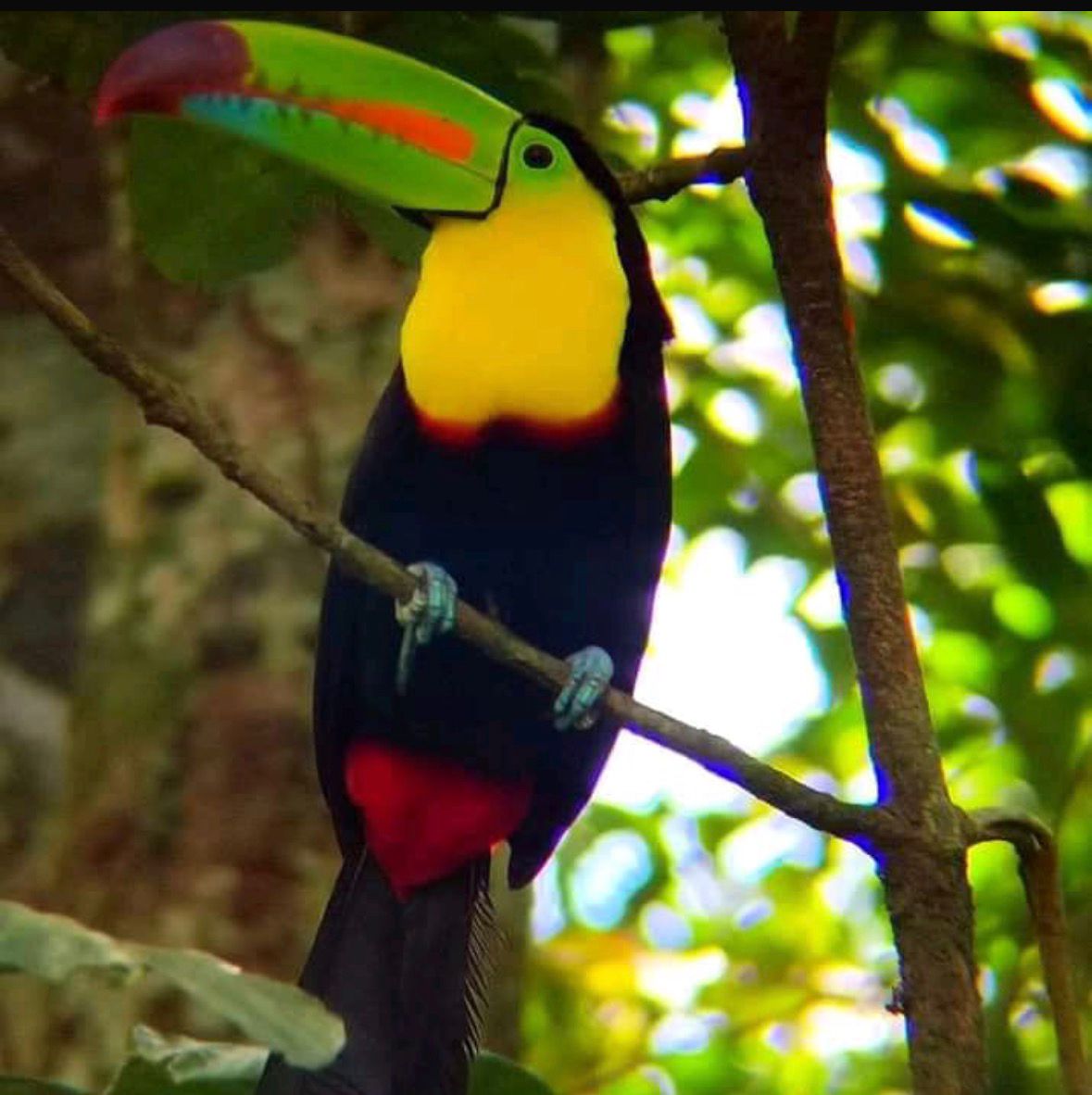 Costa Rica tour photo