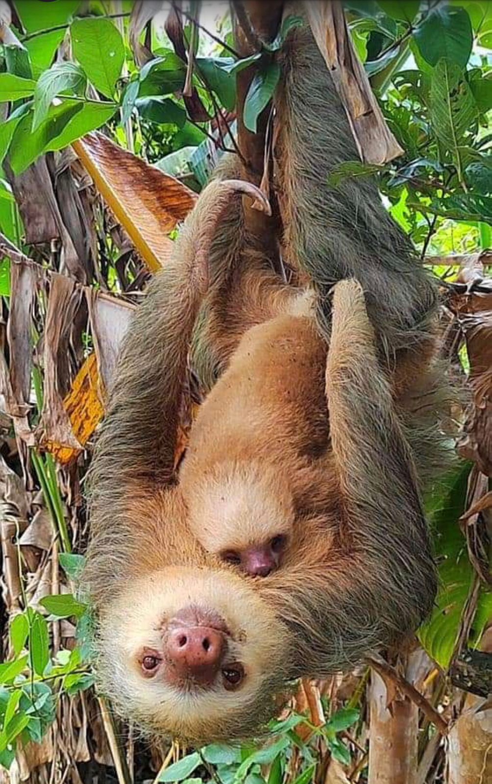 Costa Rica tour photo