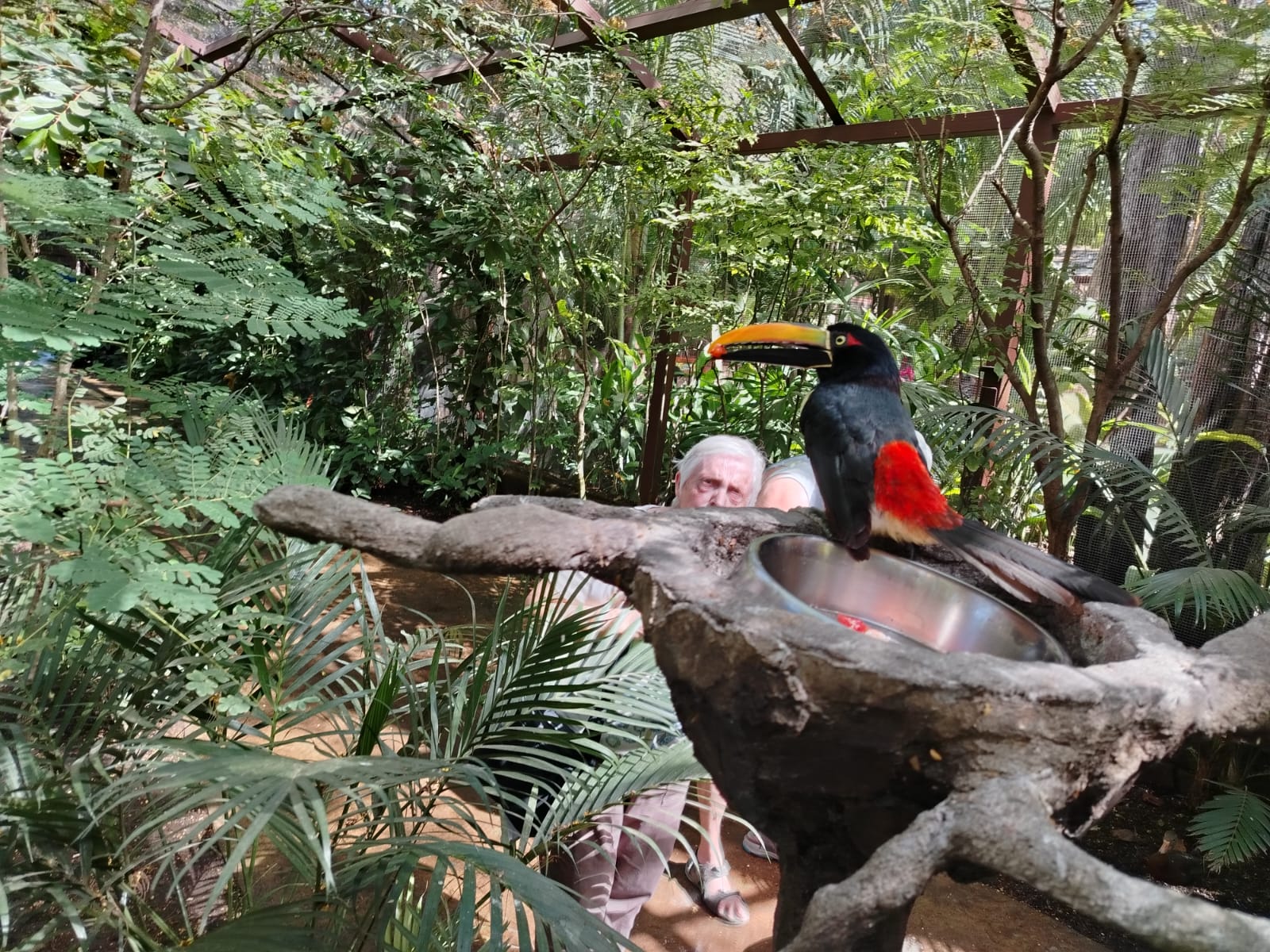 Costa Rica tour photo